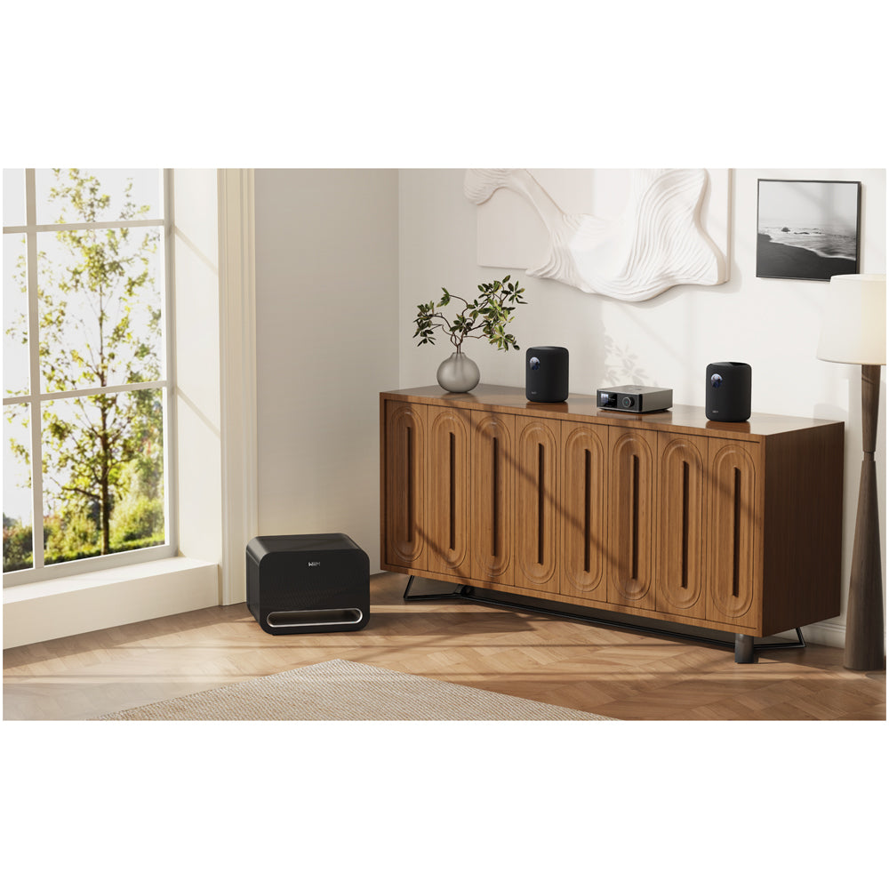 WiiM SOUND Wireless Multiroom Smart Speaker with Display - Black Black