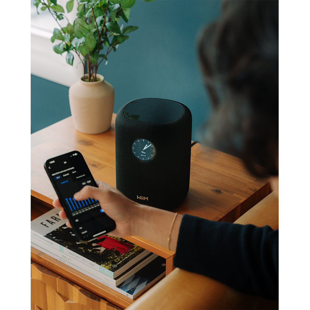 WiiM Sound Wireless Smart Speaker with WiiM NorStone Wall Mount (Single) - Black
