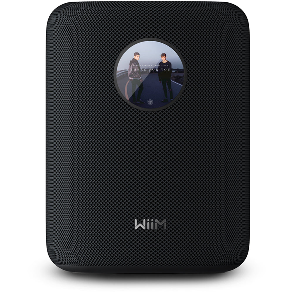 WiiM Sound Wireless Smart Speaker with WiiM NorStone Wall Mount (Single) - Black