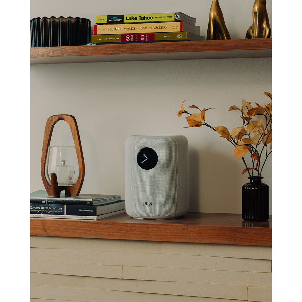 WiiM SOUND Wireless Multiroom Smart Speaker with Display White - Clearance