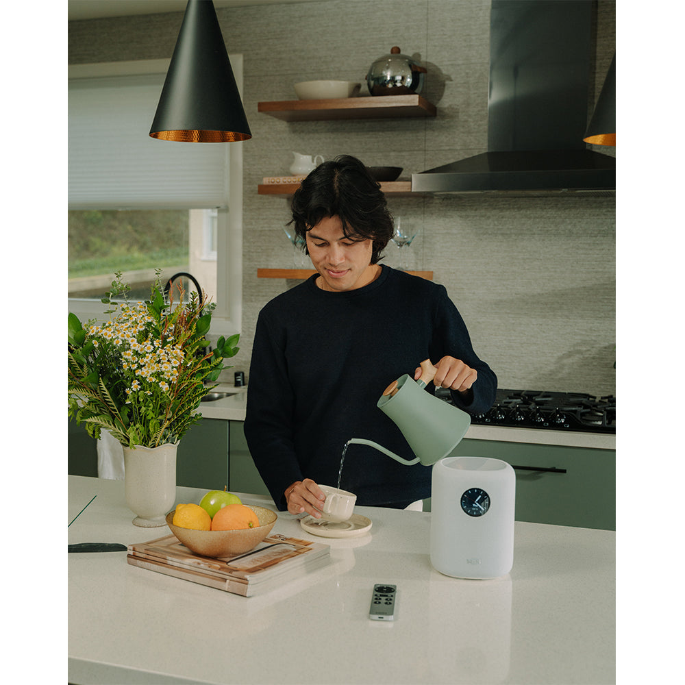 WiiM Sound Wireless Smart Speaker with WiiM NorStone Wall Mount (Single) - White