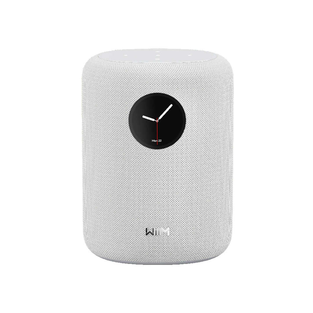 WiiM Sound Wireless Smart Speaker with WiiM NorStone Wall Mount (Single) - White
