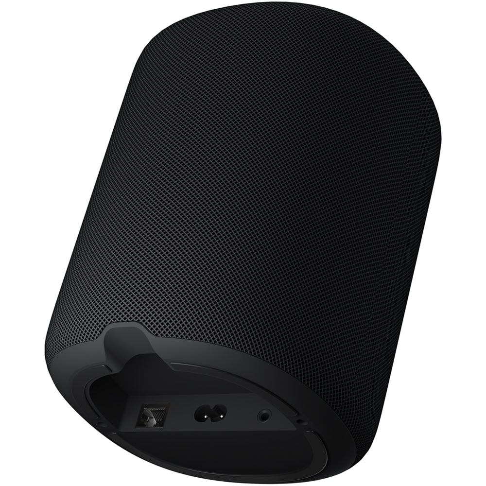 WiiM Sound Wireless Smart Speaker with WiiM NorStone Floor Stand (Single) - Black Black