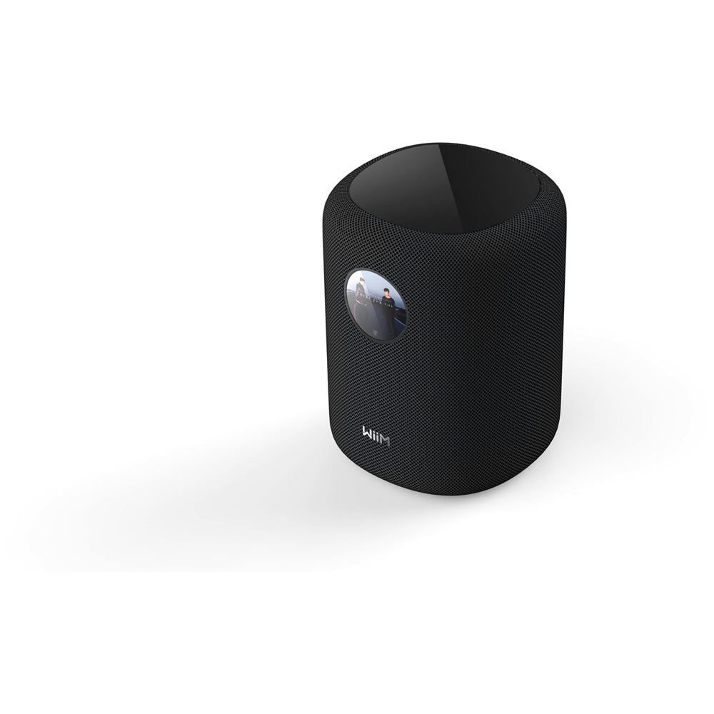 WiiM Sound Wireless Smart Speaker with WiiM NorStone Floor Stand (Single) - Black Black