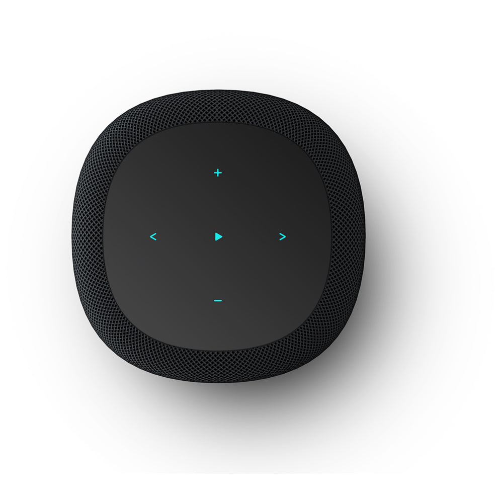 WiiM Sound Wireless Smart Speaker with WiiM NorStone Wall Mount (Single) - Black Black